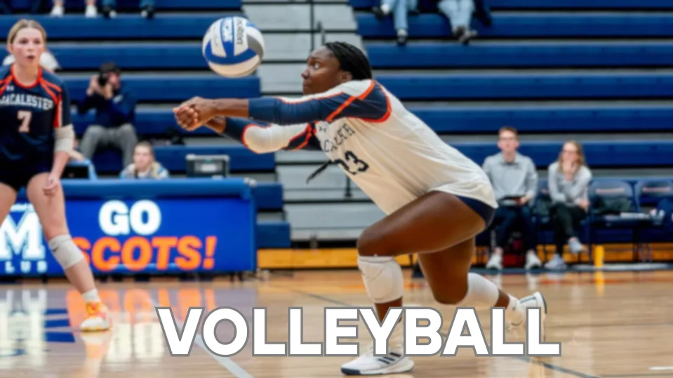 desicasinos volleyball